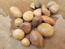 Decorative Aquarium River