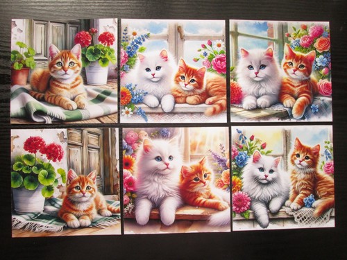 Cute ginger white - x, &