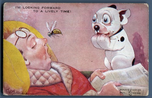 Vintage bonzo postcard - postcard, puppy