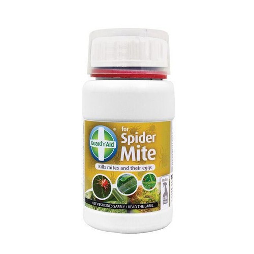 Guard aid spider - guard’n’aid, mite