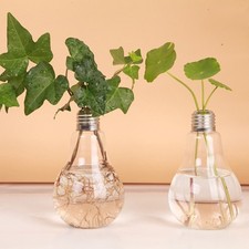  2 Pcs Lightbulb Glass Hanging