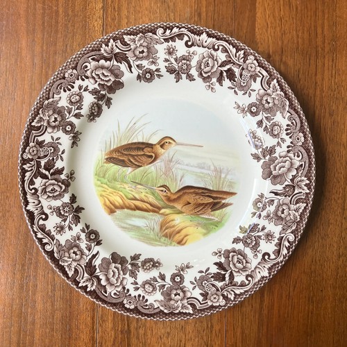 Spode woodland snipe - woodland, side