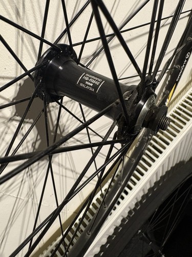 Alexrims ace 700c front - alexrims,