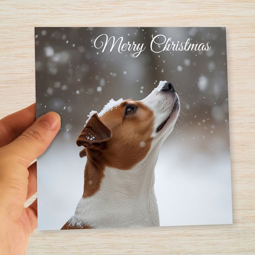 Jack russell christmas cards - jack,
