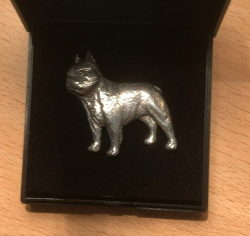 French bull dog - bull, pin