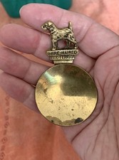 TEA CADDY SPOON - WIRE HAIRED FOX TERRIER