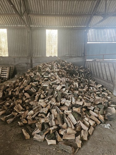 Logs