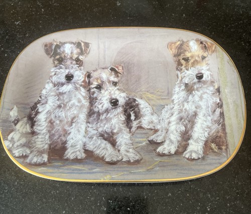 Adorable fox terrier plate - fox,