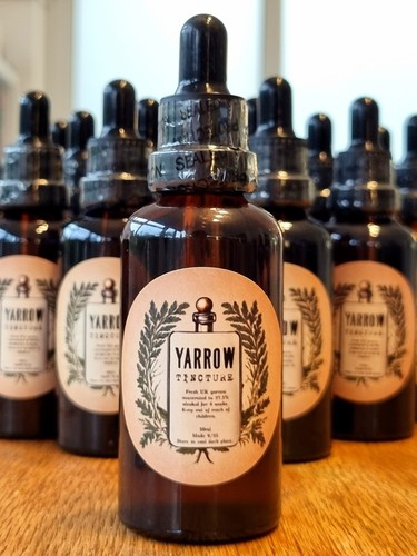Yarrow tincture free p - yarrow,