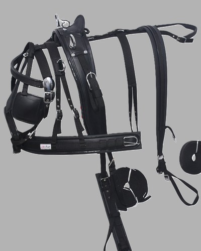 Nylon webbing horse driving - webbing,