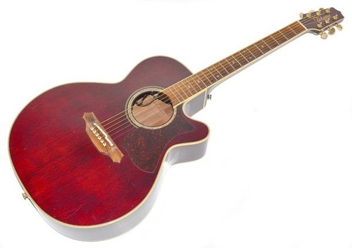 Takamine dmp551c acoustic - takamine,