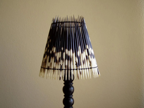 Porcupine quill bedside - porcupine,