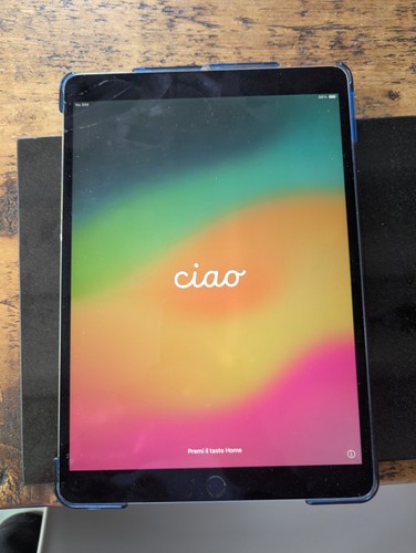 Apple ipad pro a1709 - apple,