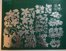 Poinsettia Poinsettias &