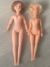 VINTAGE 70’S PEDIGREE ANNA