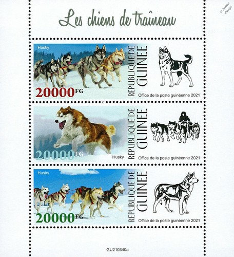 Sled dogs siberian - sled,