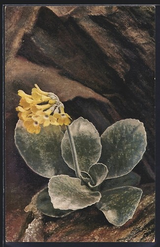 Photochromic postcard - , no