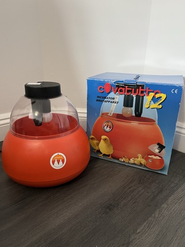 Novital covatutto egg - novital,