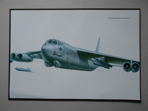 Military aviation print - aviation,