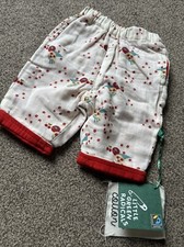 Little Green Radicals Cherry