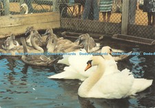 D037392 Dorset. Abbotsbury