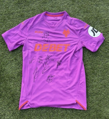 Wolverhampton wanderers wolves - wolverhampton,