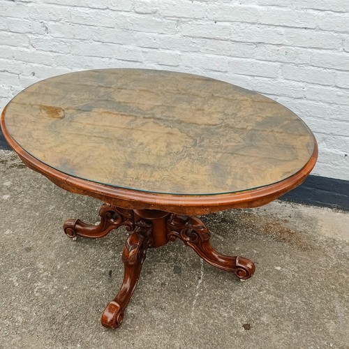 Glass topped antique burr - topped,
