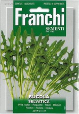 Franchi Seeds Rocket Wild seed