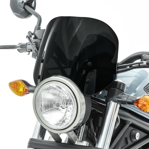 Windshield fly screen for - /,