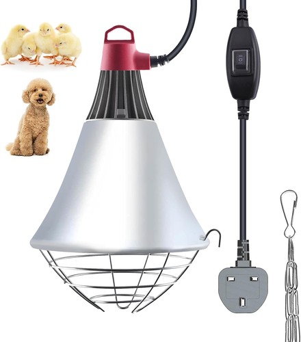 Poultry heat lamp - for, chicks