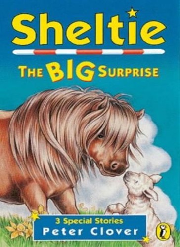 Sheltie the big surprise - big,