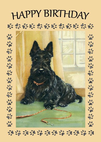 Scottish terrier scottie - scottie, dog