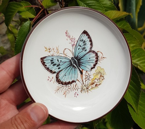 Hornsea butterfly pin - butterfly,