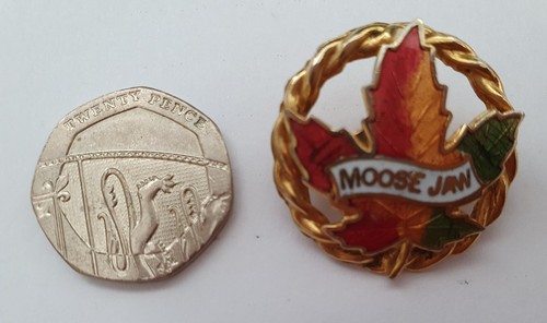 Vintage enamel canadian maple - vintage,