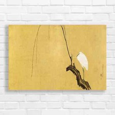 Serene Egret on Driftwood