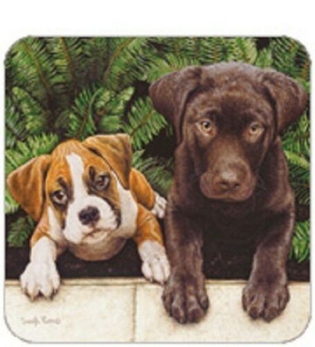 Cork back coaster - coaster-dog, design