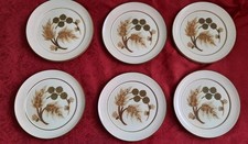 Vintage Denby Cotswold Dinner