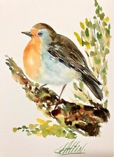American Robin Bird Watercolor
