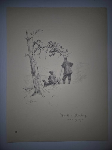 Antique pencil drawing fox - pencil,