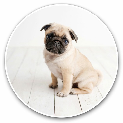 Vinyl stickers 15cm - 2,