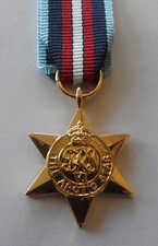 Arctic Star Miniature Medal