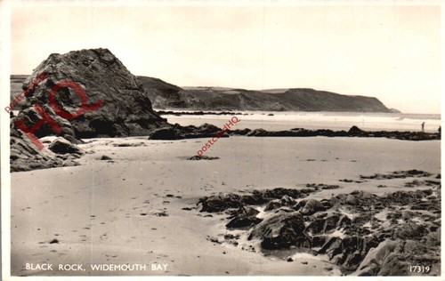 Picture postcard widemouth - picture,