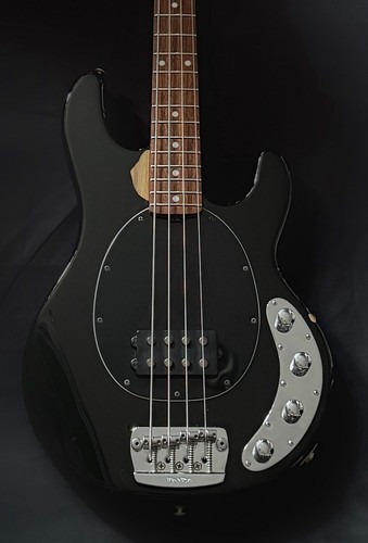 Music man stingray - music,