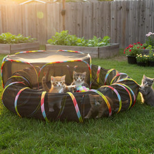 Outdoor Cat Enclosure