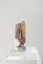 Brookite Crystal From Kharan