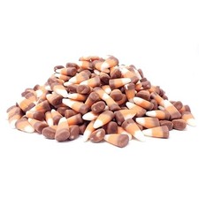 Candy Retailer Indian Corn 1