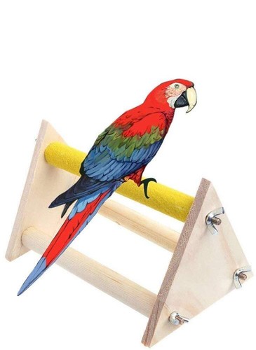 Parrot bird wooden perch - bird, stand