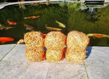  6x Barley straw for natural algae & green water treatment in ponds. 6 logs