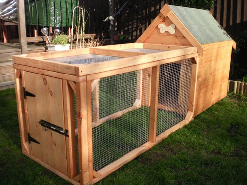 Dog kennel and run - dog, for