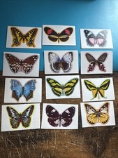 TONIBELL-FULL SET- BEAUTIFUL